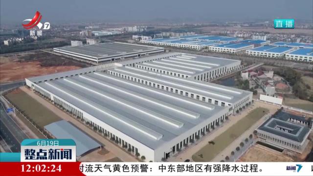 整点新闻20250619 12：00