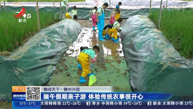 【赣闻天下】赣州兴国：端午假期亲子游 体验传统农事很开心