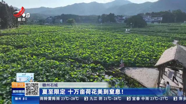 赣州石城：夏至限定 十万亩荷花美到窒息！