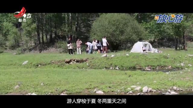 都市放心游·放心游指南20250601