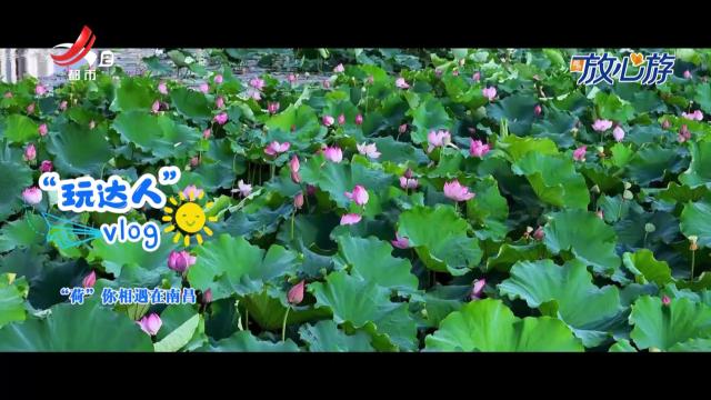都市放心游·玩达人vlog：“荷”你相遇在南昌