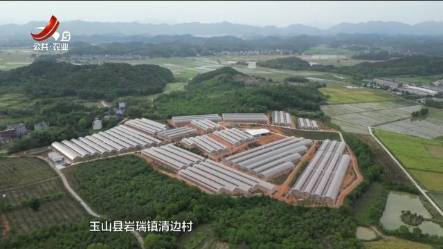 五哥帮忙团20250619