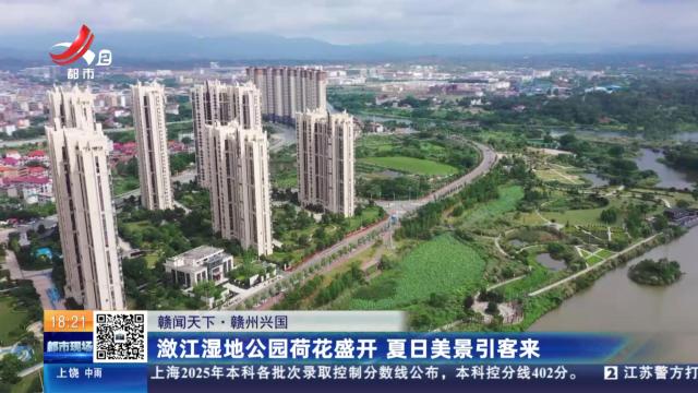【赣闻天下】赣州兴国：潋江湿地公园荷花盛开 夏日美景引客来