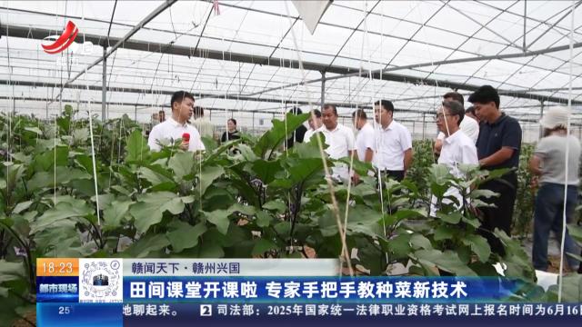都市现场20250605