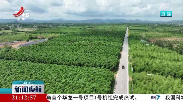【做好“土特产”文章 建设现代化大产业】“土味”变“潮味” “江西味道”飘向全国