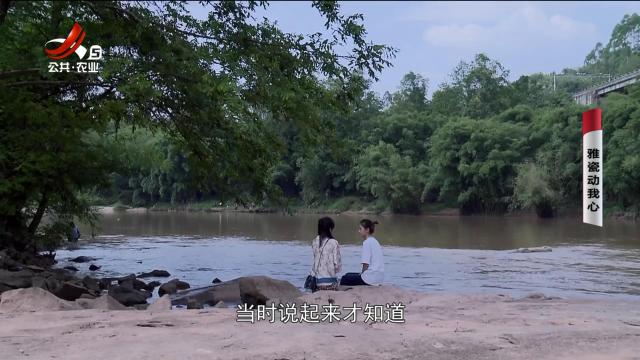 乡村栏目剧场20250628 雅瓷动我心
