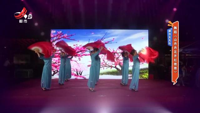 都市天天乐：舞蹈《山丹丹花开红艳艳》