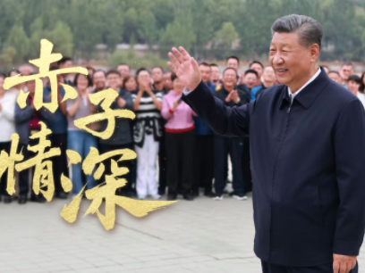 时政微视频丨赤子情深 
