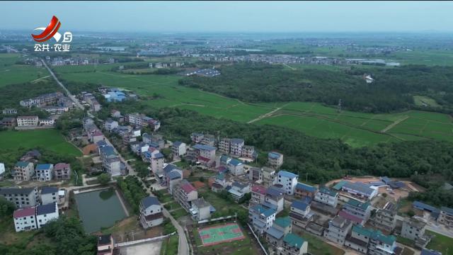 美丽江西在行动20250608 我们的龙船上新了