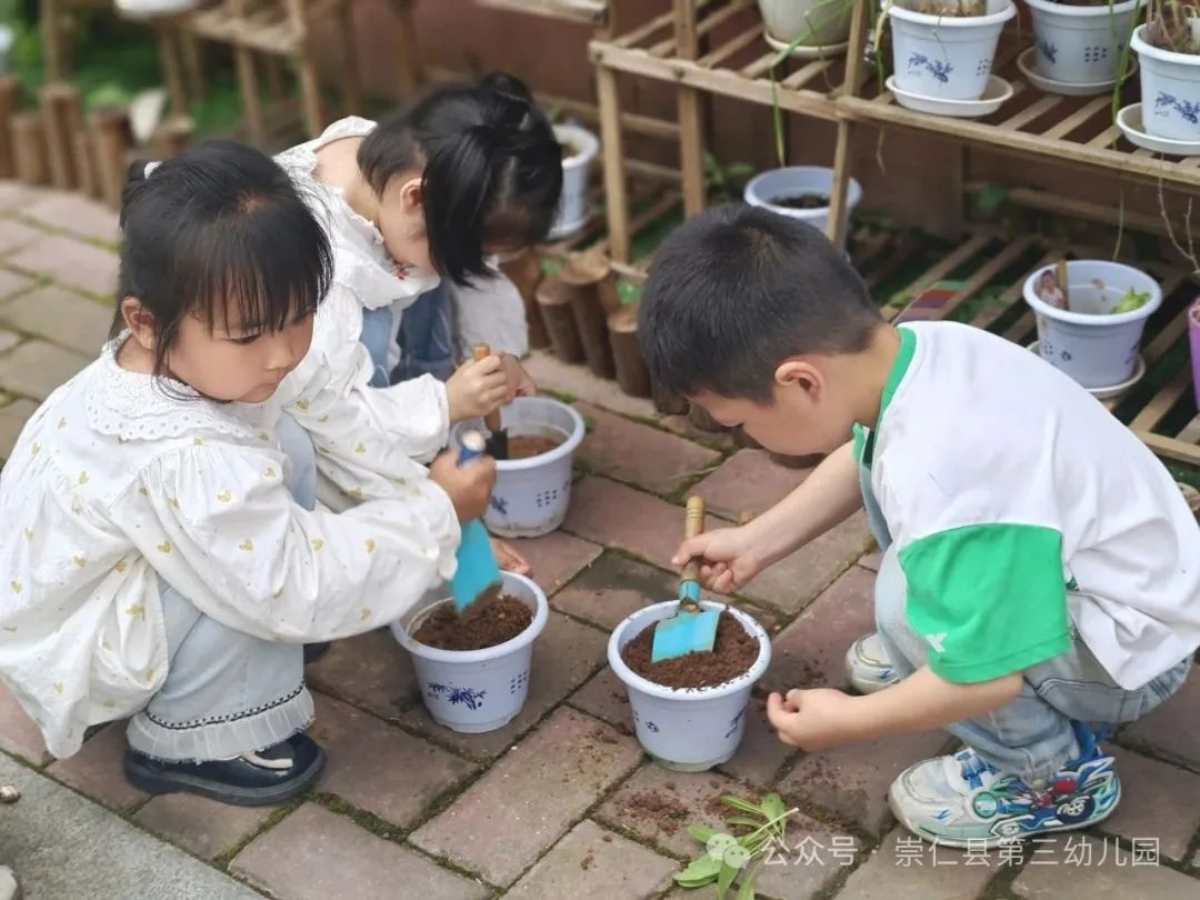 劳动享乐趣，行动正当时——崇仁县第三幼儿园开展劳动月系列活动