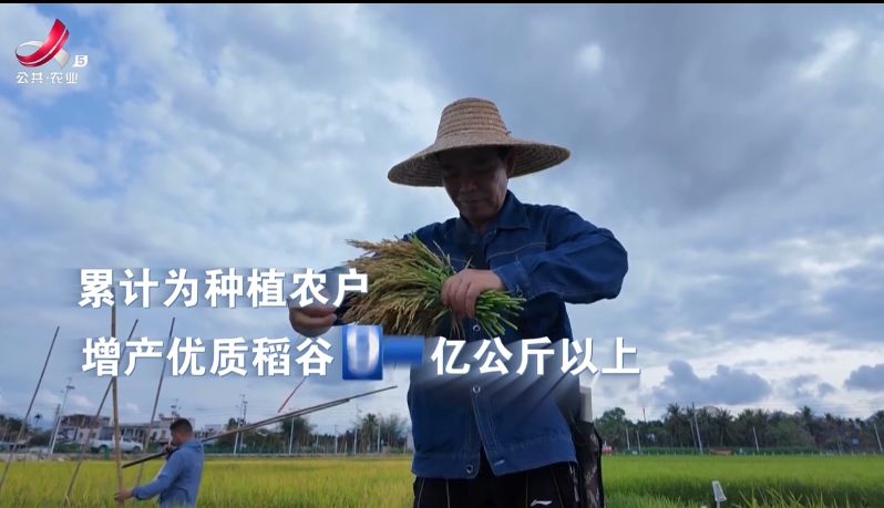 赣出精彩20250613