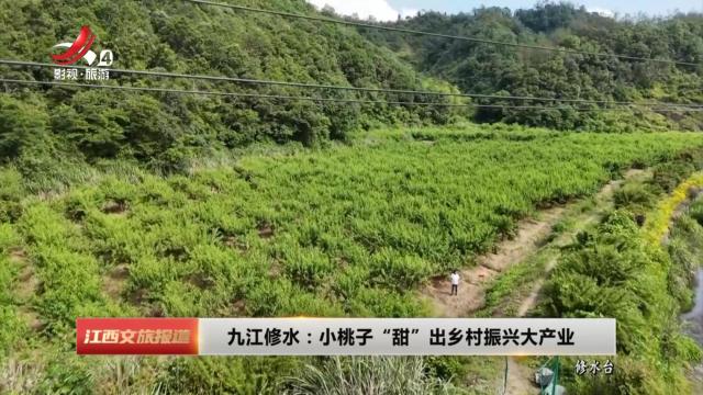 江西文旅报道20250618