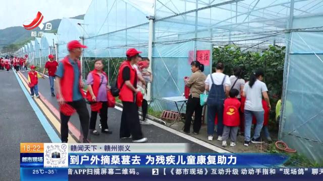 【赣闻天下】赣州崇义：到户外摘桑葚去 为残疾儿童康复助力