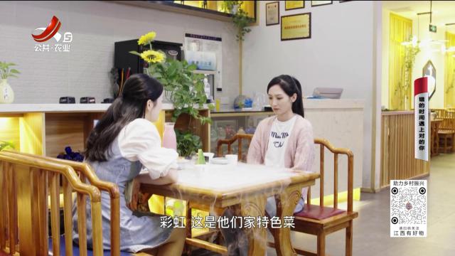 乡村栏目剧场20250621 错的时间遇上对的你