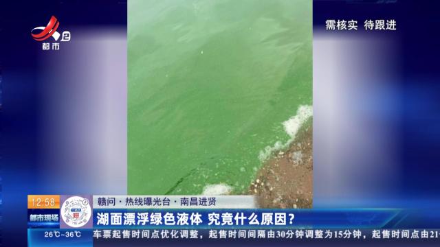 【赣问·热线曝光台】南昌进贤：湖面漂浮绿色液体 究竟什么原因？