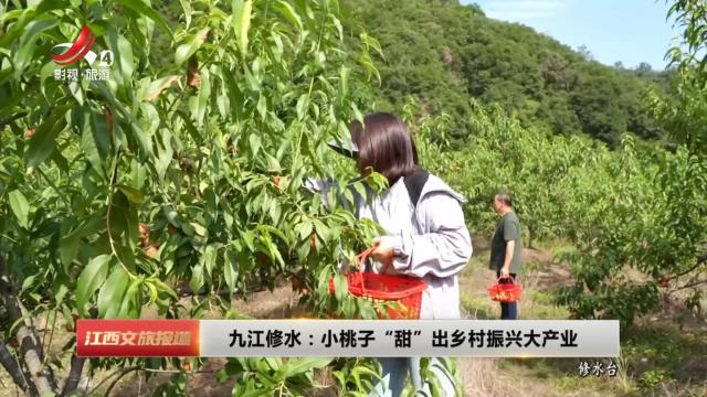 九江修水：小桃子“甜”出乡村振兴大产业