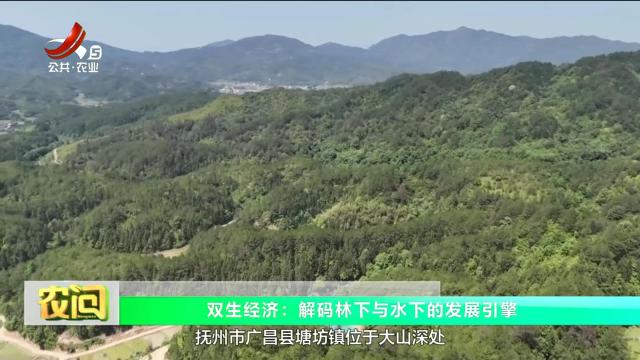 农问20250613
