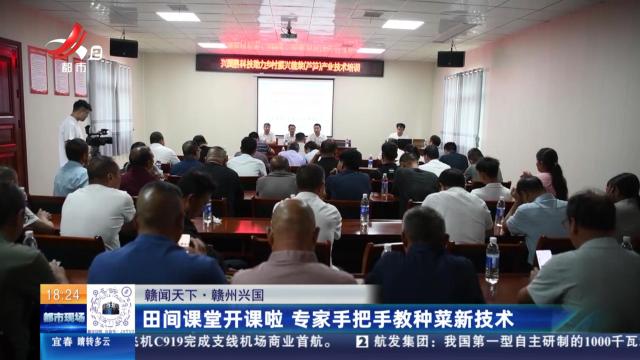 【赣闻天下】赣州兴国：田间课堂开课啦 专家手把手教种菜新技术
