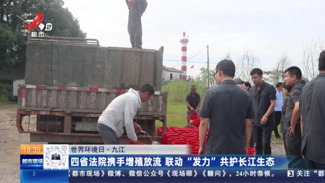 【世界环境日】九江：四省法院携手增殖放流 联动“发力”共护长江生态