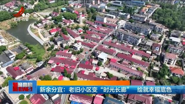 新余分宜：老旧小区变“时光长廊” 绘就幸福底色