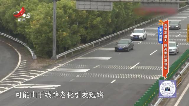 地宝当家20250620