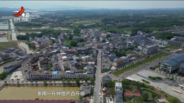 五哥帮忙团20250612
