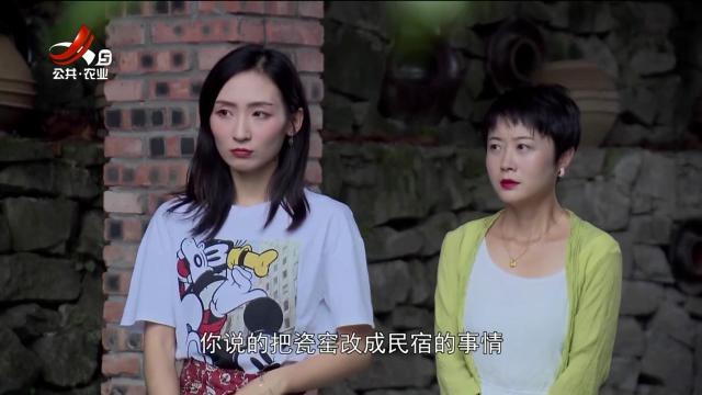 乡村栏目剧场20250629 雅瓷动我心