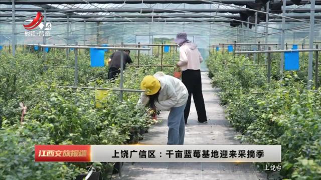 江西文旅报道20250604