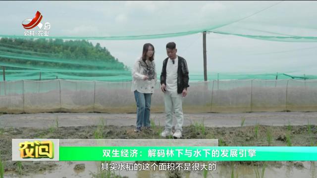 农问20250615