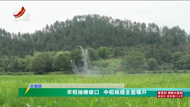 三农头条20250612