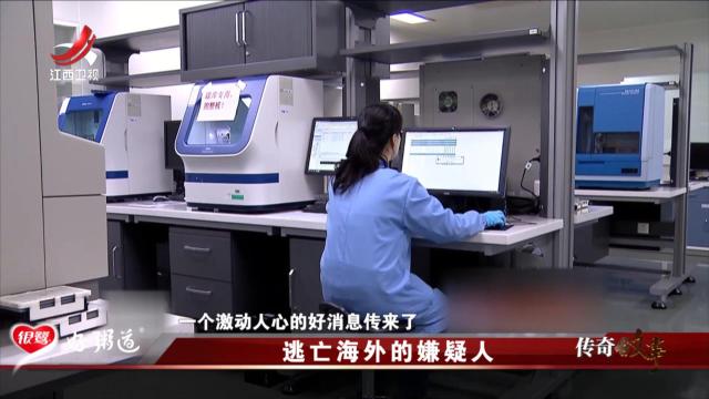 传奇故事20250609 逃亡海外的嫌疑人