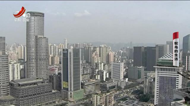 乡村栏目剧场20250601 鸵鸟的生活