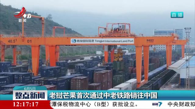 老挝芒果首次通过中老铁路销往中国