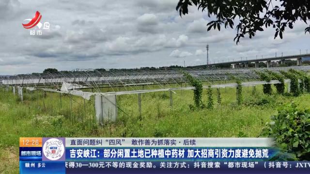 【直面问题纠“四风” 敢作善为抓落实】后续·吉安峡江：部分闲置土地已种植中药材 加大招商引资力度避免抛荒
