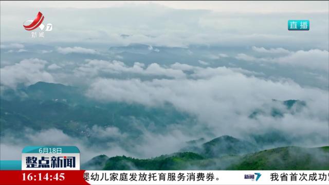 “无人机+高铁”带赣南农特产“飞”出大山