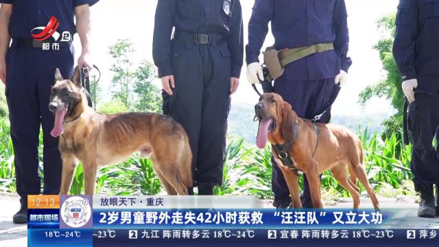 【放眼天下】重庆：2岁男童野外走失42小时获救 “汪汪队”又立大功