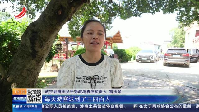 九江武宁：杨梅采摘正当时 游客共享“梅”好时光