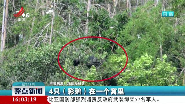 江西：珍稀物种青睐的“乐园”