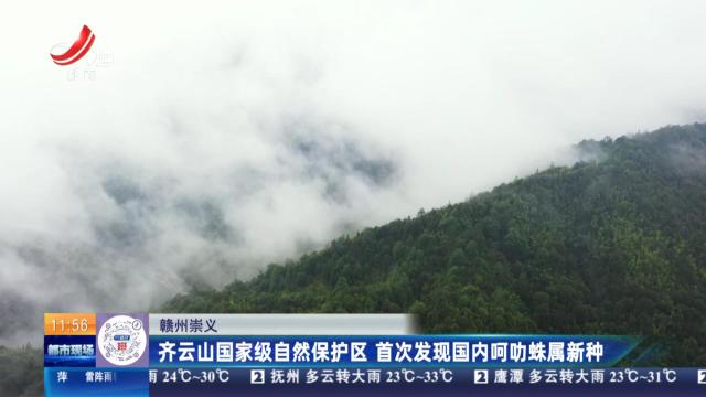 赣州崇义：齐云山国家级自然保护区 首次发现国内呵叻蛛属新种