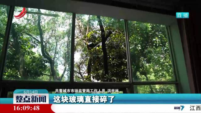 共青城：白鹇误闯办公室 获救助放归自然
