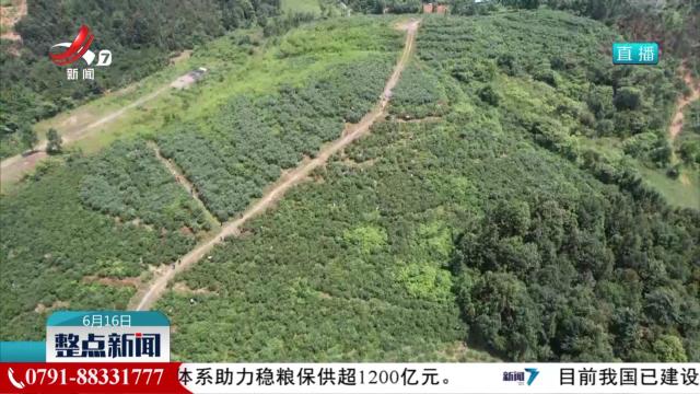 整点新闻20250616 10：00