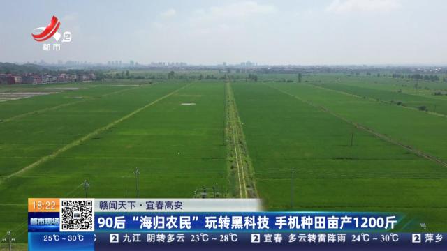 都市现场20250609