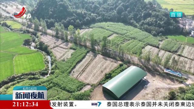 新闻夜航20250616