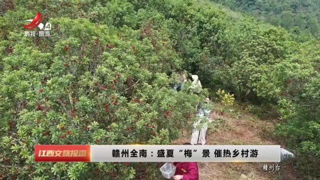 赣州全南：盛夏“梅”景 催热乡村游