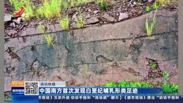 中国南方首次发现白垩纪哺乳形类足迹