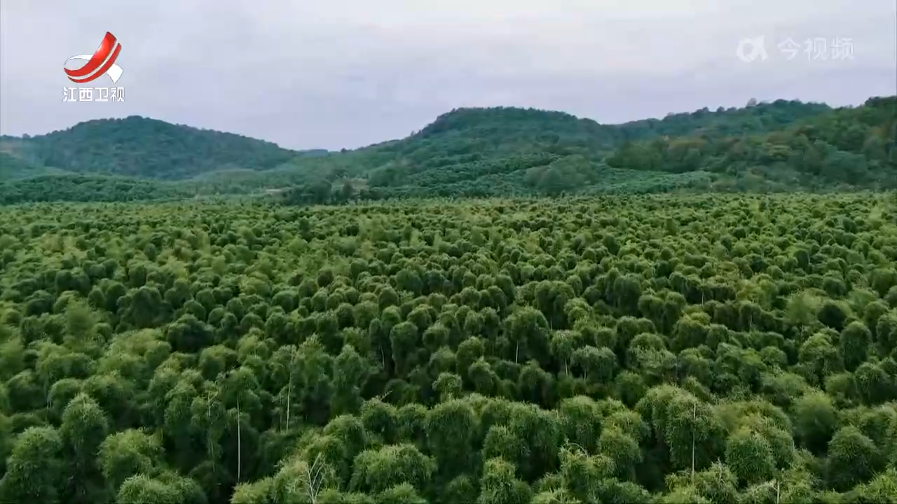【做好“土特产”文章 建设现代化大产业】“土味”变“潮味” “江西味道” 飘向全国