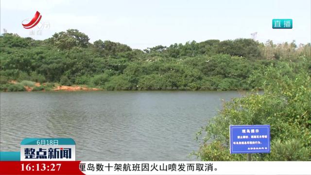 江西：加强巡护保护 助力彩鹮添丁