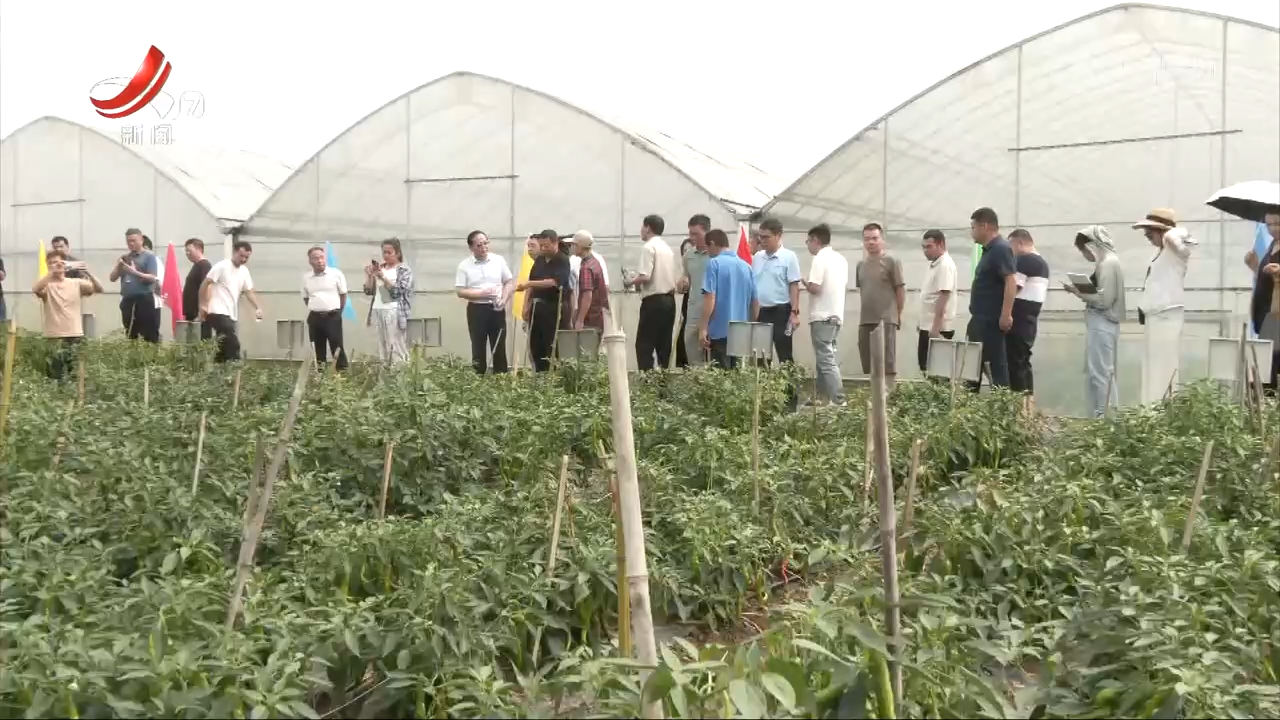 江西省蔬菜区域性引种筛选示范现场观摩会举行