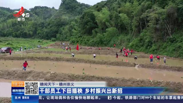 【赣闻天下】赣州崇义：干部员工下田插秧 乡村振兴出新招