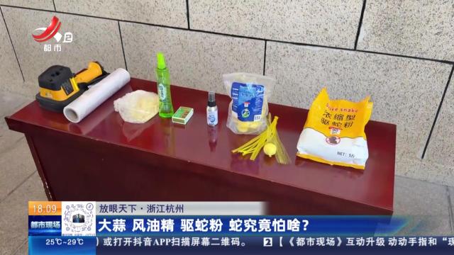 【放眼天下】浙江杭州：大蒜 风油精 驱蛇粉 蛇究竟怕啥？